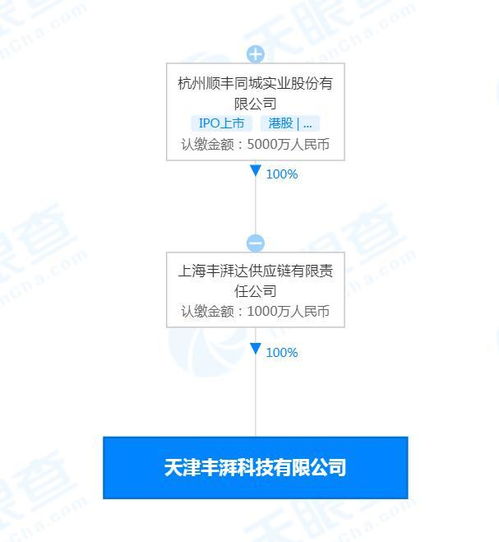 從軟件開發(fā)到技術(shù)服務(wù) 構(gòu)建數(shù)字時代的核心引擎