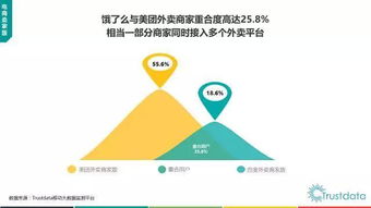 2017年上半年中國移動互聯(lián)網(wǎng)發(fā)展分析 軟件與技術(shù)服務(wù)的新趨勢